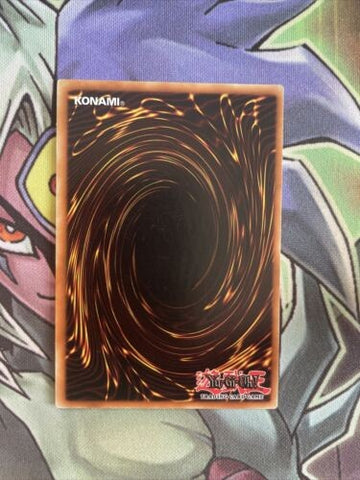 TSHD-EN033 Ronintoadin Common 1st Edition NM Yugioh Card (back)