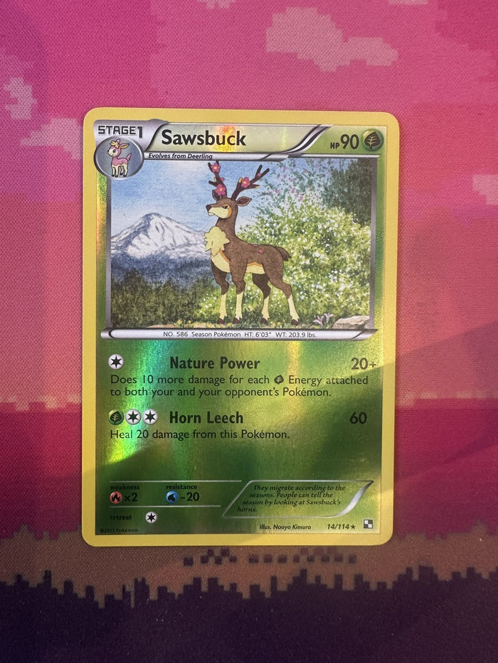 Pokemon Card Sawsbuck Black & White Reverse Holo 14/114 Near Mint