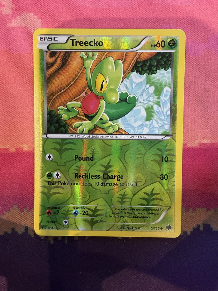 Pokemon Card Treecko Plasma Freeze Reverse Holo Common 6/116 Near Mint