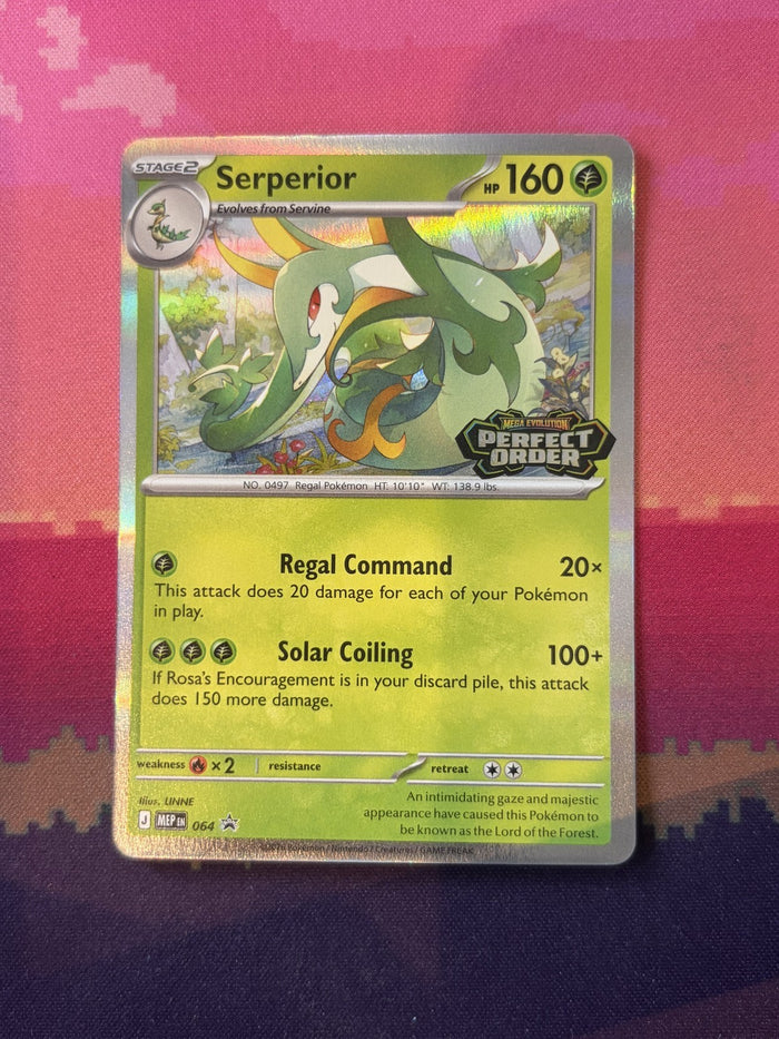 Pokemon Card Serperior Mega Evolution Promo Holo 064 Near Mint