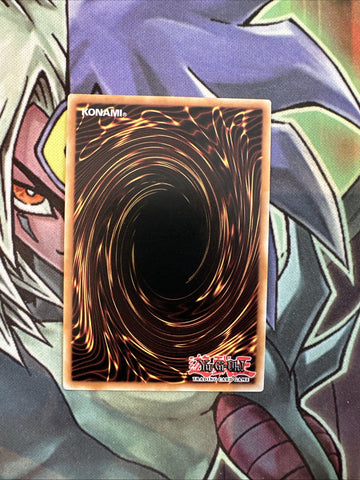 SDSA-EN025 Set Rotation Common 1st Edition NM Yugioh Card (back)