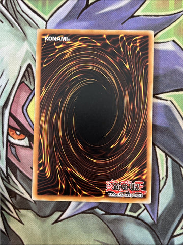 DP11-EN029 Black Feather Beacon Super Rare 1st Edition NM Yugioh Card (back)