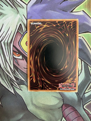 RA01-EN029 Egyptian God Slime Ultra Rare 1st Edition NM Yugioh Card (back)
