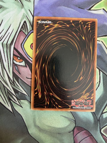 ABPF-EN033 Consecrated Light Common UNL Edition NM Yugioh Card (back)