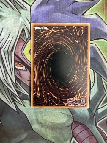 BLLR-DE060 Trishula, Dragon of the Ice Barrier GERMAN Secret 1st Ed NM Yugioh (back)