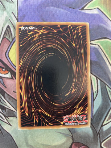 RA01-EN018 Wynn The Wind Channeler Quarter Century 1st Edition NM Yugioh Card (back)