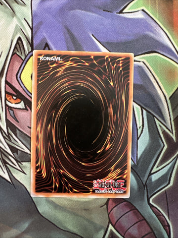 SDWA-EN032 Shien's Dojo Common 1st Edition NM Yugioh Card (back)