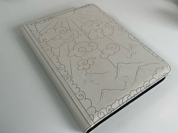 Twintraders EXCLUSIVE 9 Pocket BINDER ‘Dragon’s Descend’ Grey Colour Pokemon (back)