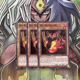 SDSB-EN020 x3 Red Resonator Common Excellent Condition Yugioh