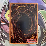 LODT-EN054 Wetlands Common 1st Edition NM Yugioh Card