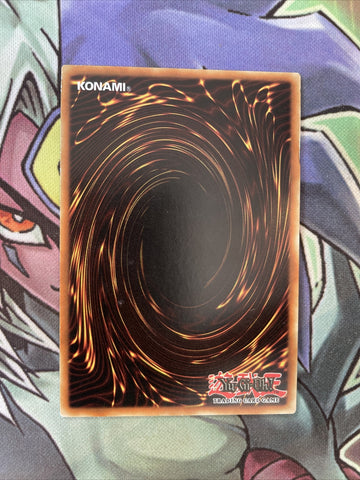 DREV-EN087 Amazoness Hierloom Super Rare Unlimited Edition NM Yugioh Card (back)