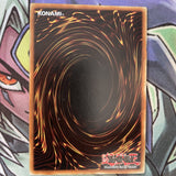 DREV-EN087 Amazoness Hierloom Super Rare Unlimited Edition NM Yugioh Card