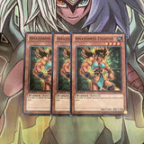 LCJW-EN088 x3 Amazoness Fighter Common Excellent Condition Yugioh