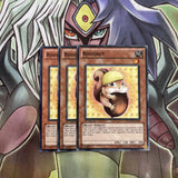 PHSW-EN032 x3 Rodenut Common Excellent Condition Yugioh