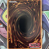 LCYW-EN264 The Earth - Hex-Sealed Fusion Common 1st Edition Near Mint Yugioh Car