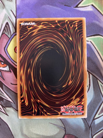PHRA-EN043 Virtual World Phoenix - Fanfan Ultra Rare 1st Edition NM Yugioh Card (back)