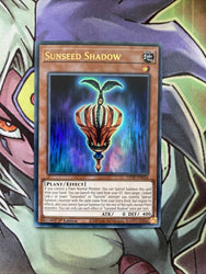Smirking Gnome