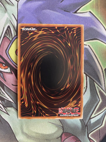 YS18-EN003 Widget Kid Super Rare 1st Edition NM Yugioh Card (back)