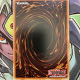 MP17-EN169 Paleozoic Dinomischus Common 1st Edition Near Mint Condition Yugioh C