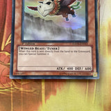 HA02-EN013 1x Yugioh Mist Valley Baby Roc 1st Edtion Super Rare