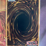 TAMA-EN047 Droll & Lock Bird Rare 1st Edition NM Yugioh Card