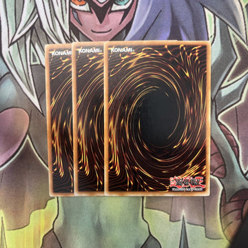 DB1-EN243 x3 Scroll of Bewitchment Common Excellent Condition Yugioh (back)