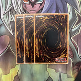 DB1-EN243 x3 Scroll of Bewitchment Common Excellent Condition Yugioh