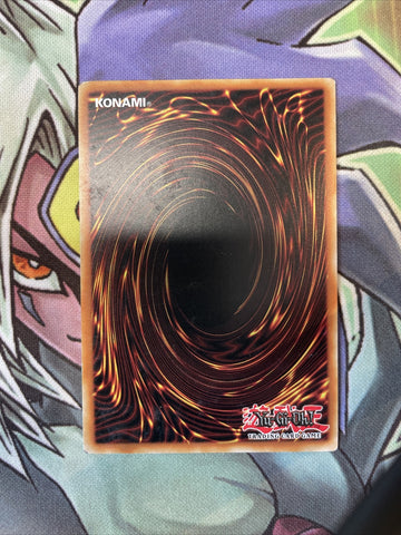 COTD-EN036 The Ascended Of Thunder Common Varying Edition NM Yugioh Card (back)