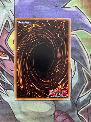 DR3-EN203 D.D. Survivor Rare Unlimited Edition NM Yugioh Card (back)