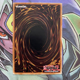 DR3-EN203 D.D. Survivor Rare Unlimited Edition NM Yugioh Card