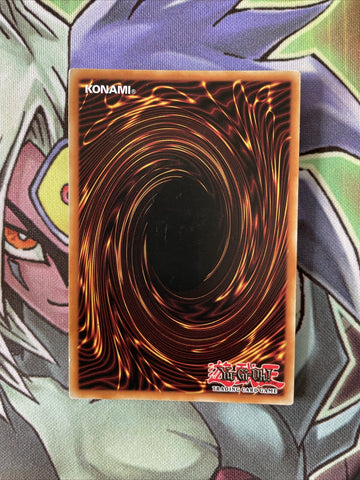 BLLR-EN026 Vision Hero Witch Raider Secret Rare 1st Edition NM Yugioh Card (back)
