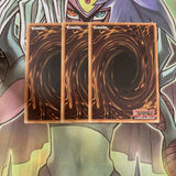 LC5D-EN090 x3 Evil Thorn Common Excellent Condition Yugioh