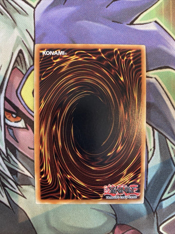 LEHD-ENB38 Coral Dragon Ultra Rare 1st Edition NM Yugioh Card (back)