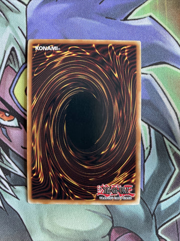 RGBT-EN019 Earthbound Immortal Aslla Piscu Ultra Rare UNL Edition NM Yugioh Card (back)