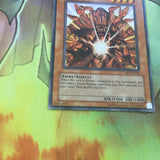 DB1-EN046 Senju Of The Thousand Hands NM Yugioh Near Mint