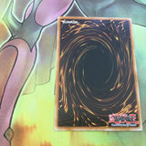 DB1-EN046 Senju Of The Thousand Hands NM Yugioh Near Mint