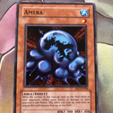 DB1-EN008 Ameba yugioh Card EXC