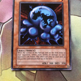 DB1-EN008 Ameba yugioh Card EXC