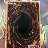 DB1-EN008 Ameba yugioh Card EXC