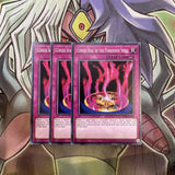 OP08-EN025 Cursed Seal Of The Forbidden Spell x3 Excellent Condition Yugioh