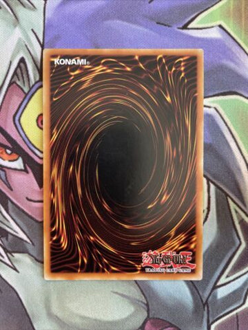 MP16-EN126 Majespecter Raccoon - Bunbuku Ultra Rare 1st Edition NM Yugioh Card (back)