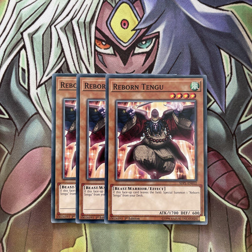 SDPL-EN012 x3 Reborn Tengu Common Excellent Condition Yugioh