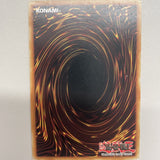 DOCS-EN087 Raidian, The Multidimensional Kaiju Rare 1st Edition LP Yugioh Card