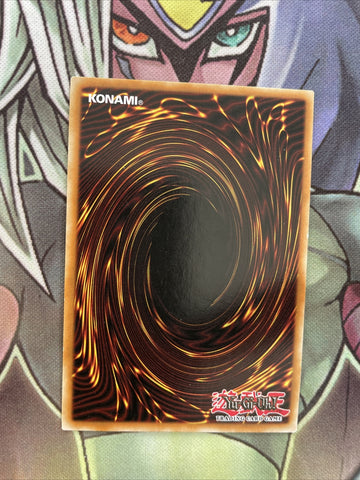 DPBC-EN024 Time Wizard Common 1st Edition NM Yugioh Card (back)