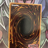DPBC-EN024 Time Wizard Common 1st Edition NM Yugioh Card