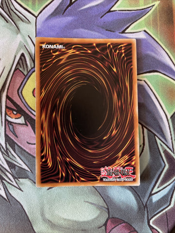 INOV-EN039 Fullmetalfoes Alkahest Secret Rare 1st Edition NM YuGiOh Card (back)