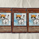 FET-KR033 Rescue Cat Common Near Mint 1st Edition YuGiOh Playset Korean