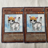 FET-KR033 Rescue Cat Common Near Mint 1st Edition YuGiOh Playset Korean