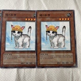 FET-KR033 Rescue Cat Common Near Mint 1st Edition YuGiOh Playset Korean