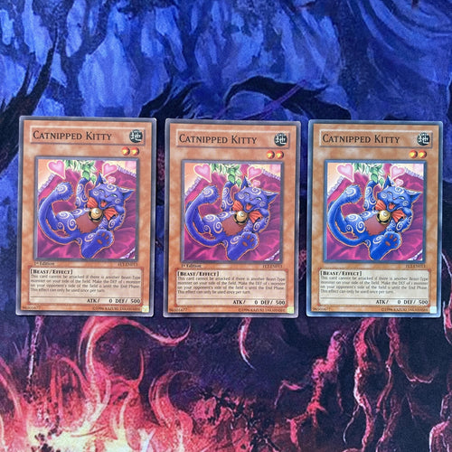 FET-EN013 x3 Catnipped Kitty- Common - unl Edition Yugioh